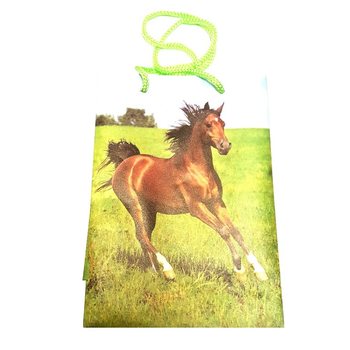 F&Ouml;RPACKNINGSP&Aring;SAR DJURMIX - 12x17.5 (12-pack)