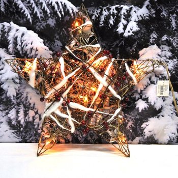 STOR LYSANDE JULSTJÄRNA DEKORATION 45 CM (2-pack)
