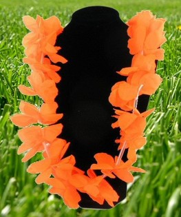 ORANGE VM-FOTBOLL HAWAIIKRANS (12 st.)