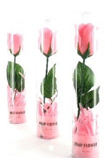 Tv&aring;lblomma (12-pack)