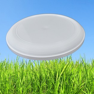 STANDARDFRISBEE 21 CM (25-pack)