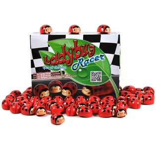 FRIKTION SNYCKELPIGA I DISPLAY (36 st.)