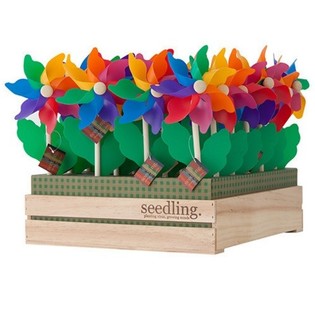 SEEDLING - VINDM&Ouml;LLOR I TR&Auml;DISPLAY (20 st)