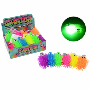 LYSANDE PUFFER-LARV I DISPLAY (24 st)