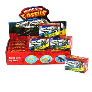 LITET ARKEOLOGSET I DISPLAY (12 st)